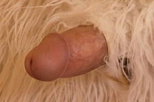 virgin视频第一次